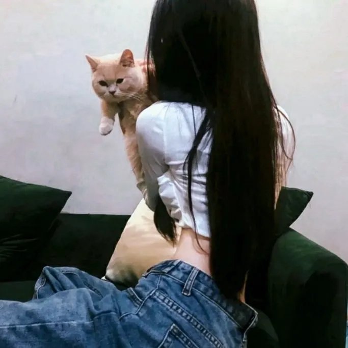 洋葱乱报